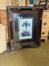 One of many pictures that I have in store - $55